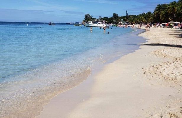 wildlife Monkey Sloth west Bay Beach with Pool Island Tour