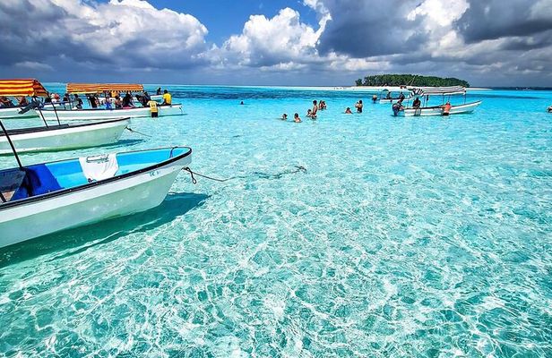 Mnemba island snorkeling tour