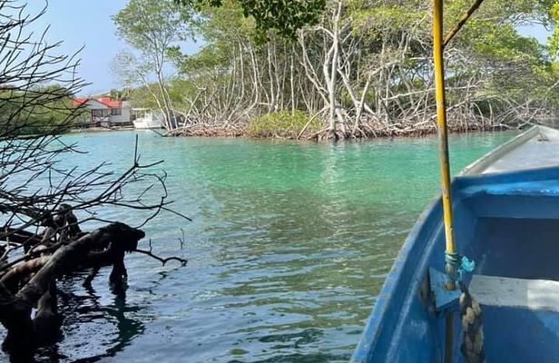 East Side Mangrove Tunnel wildlife encounter private Adventure 