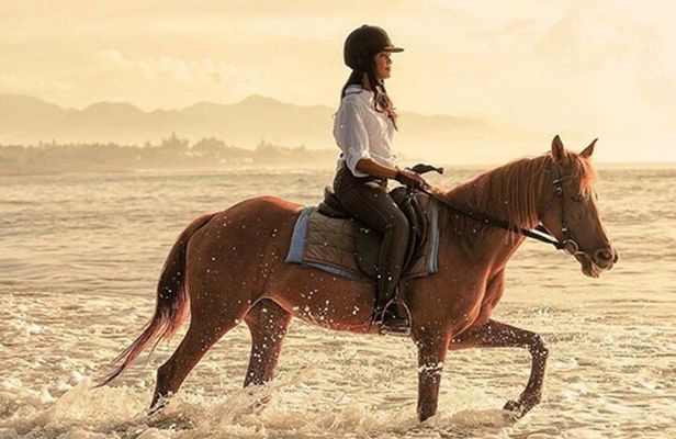Bali Horse Riding + Waterfall + Rice Terrace + Lunch