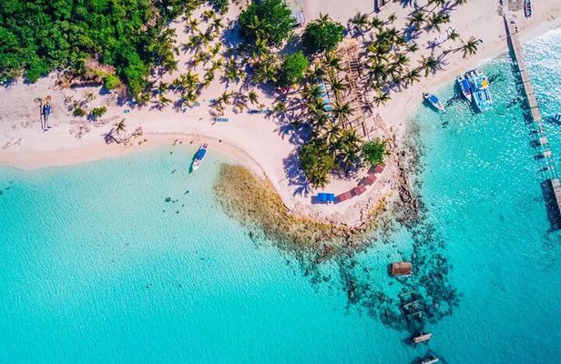 Experience Full Day Tour of Tropical Bliss at Isla Saona