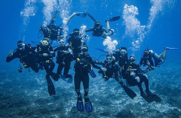 Fun dives Catalina Islands for Certified Divers