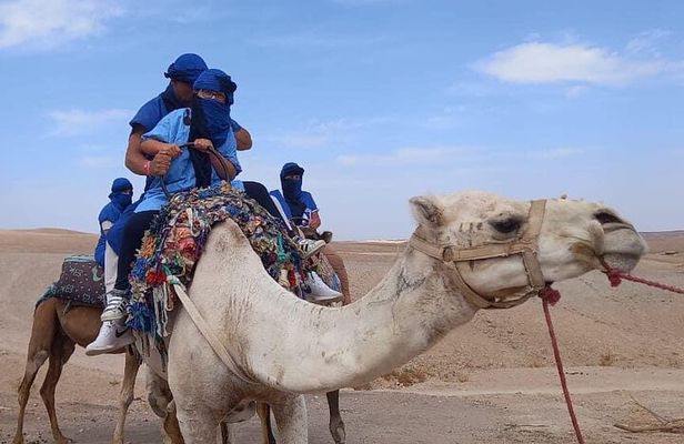 Camel Ride and Quad Tour in Marrakech