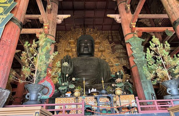 Nara: Half-Day Private Tour of 4 Must-See Spots & Deer Park