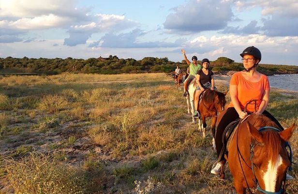Horse Riding at the Beach in Orosei