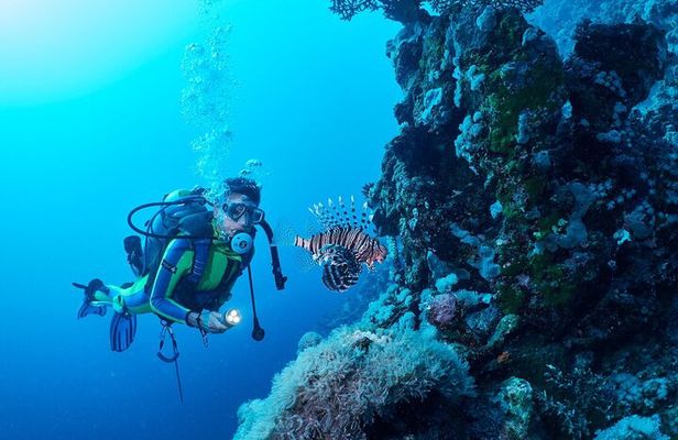 Ras Mohamed & White Island Snorkel & Dive - Sharm El Sheikh