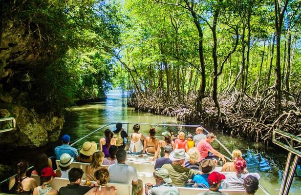 Los Haitises N. Park, Yanigua Waterfall & Montaña Redonda Tour