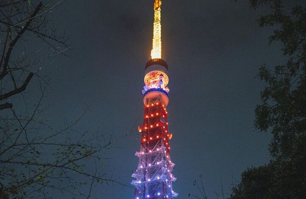 Private Tour in Tokyo with English speaking driver