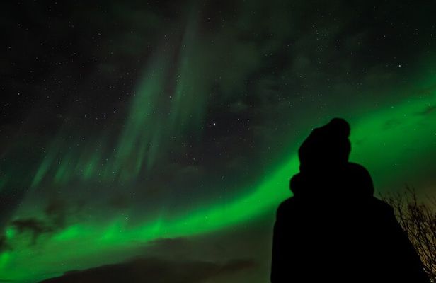 Northern Lights in Focus Tour by Minibus, German/ English, Meal