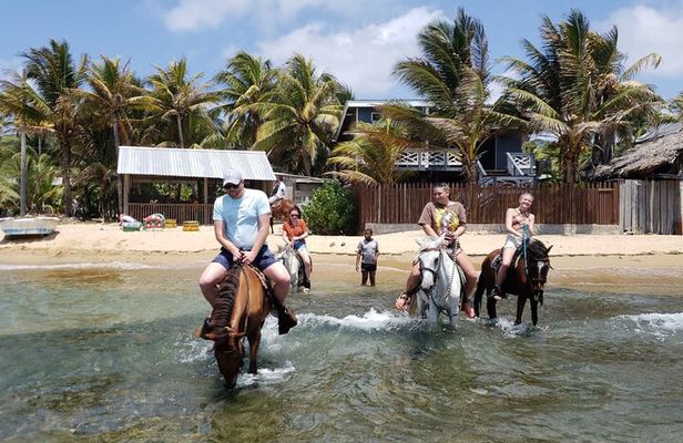 Roatan Combo Horseback Ride with Zip Line Wildlife and Snorkel