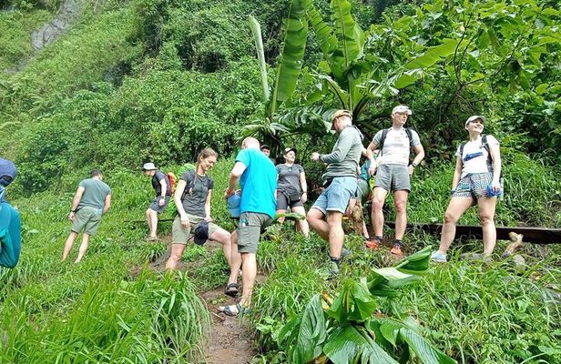Private Materuni Waterfalls, Coffee Tour and Kikuletwa Hot Spring