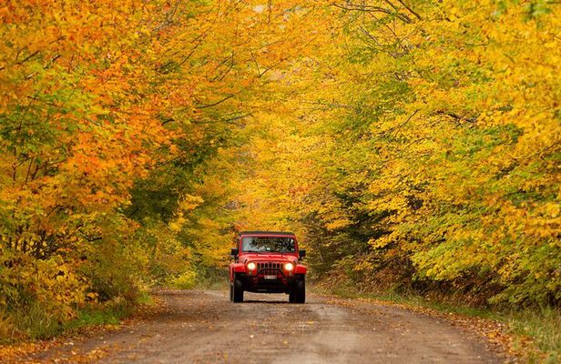 Cape Breton Fall Colours Tour On and Off Road