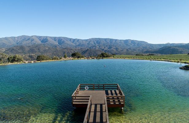 Private Vineyard Tour and Wine Tasting
