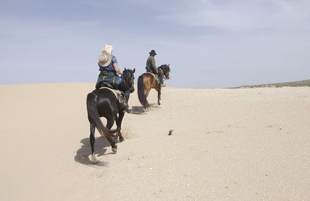 1 Day Horseback Riding Tour with Overnight Stay in Berber Tent