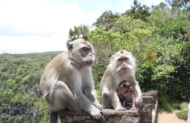 Full day Private South of Mauritius with Lunch for SOLO TRAVELER