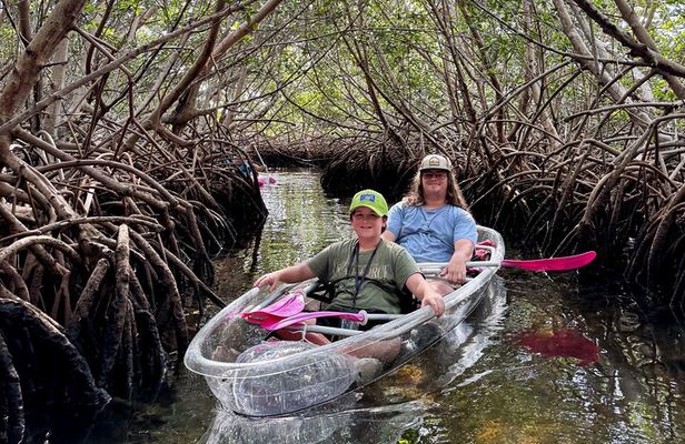  Key West Kayak Eco Tour | An Eco-Friendly Adventure Awaits!