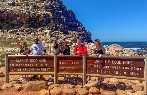  Cape Peninsula &Penguin Sightseeing in Private Car Full Day Tour