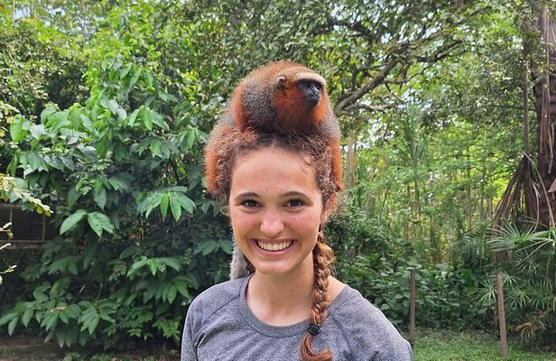 Iquitos: Visit to the authentic Monkey Island | Full Day
