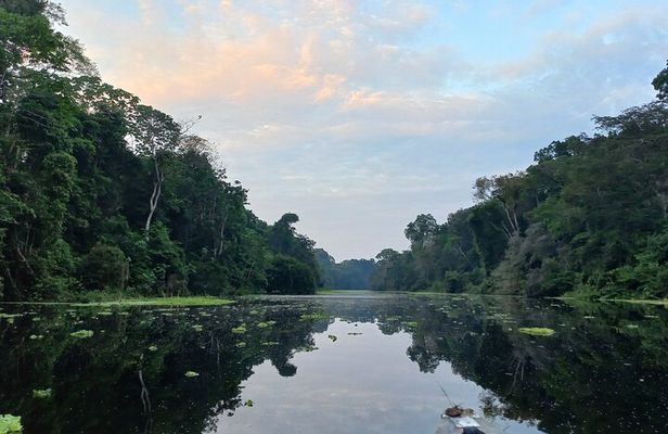 Iquitos: Secret to Black River | Full Day