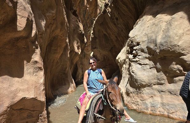 Dades Gorge & Roses valley Trekking with Mules or Donkeys