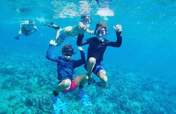 Daymaniyat Islands Snorkeling Tour