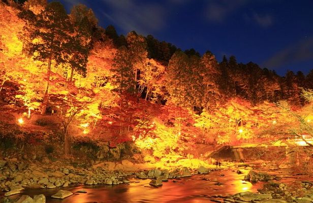 Colored Leaves in Korankei, Obara Four-season Cherry