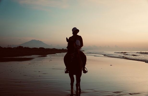 Bali Horse Riding Trot & Canter Sanur Beach include Transport