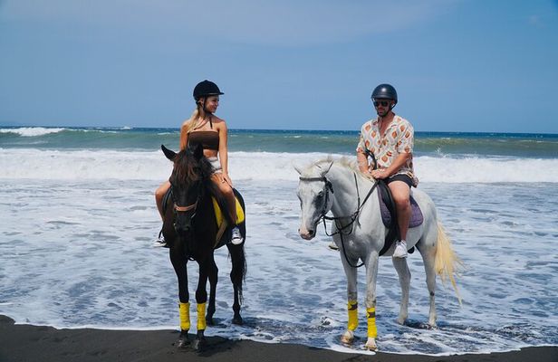 Bali Horse Riding Sanur Beach include Transport