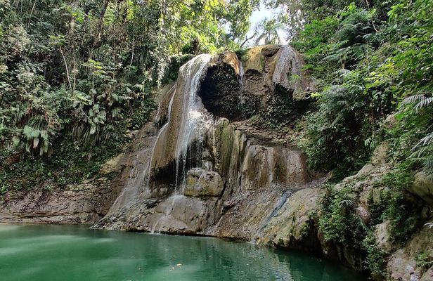 8 Hours Private Tours in Puerto Rico