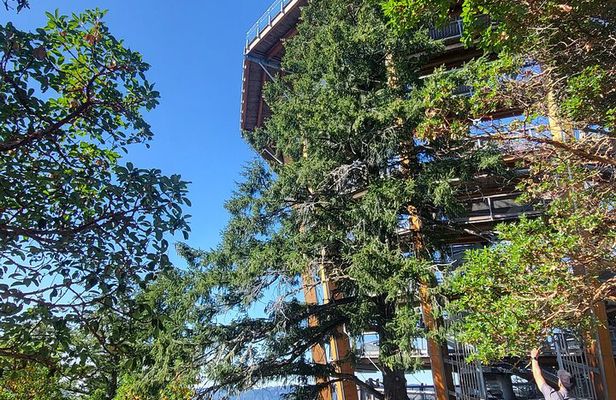 Waterfall, Skywalk, Trestle, Castle and Whales in Victoria