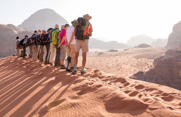 Wadi Rum: Premium English Speaking Guide 4WD Desert Tour