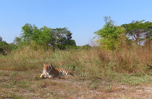 Tour of the Wildlife Rescue Center