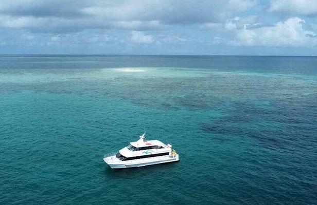 Mission Beach: Small Group | Outer Reef Snorkel & Dunk Island