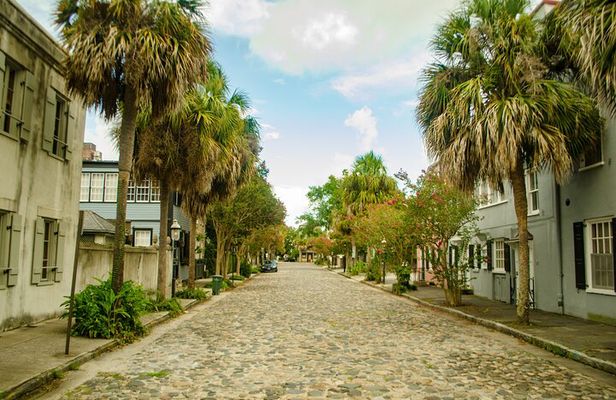 Magnolia Plantation Tour with transportation PLUS City Bus Tour