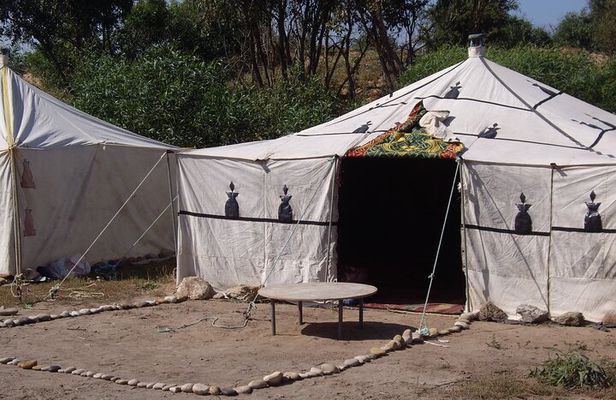 One Night in a Berber Tent with Seasight near Essaouira Morocco