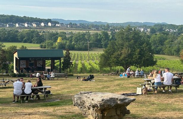 Private Wine Tour with Arrington Vineyards & Wines in the Fork