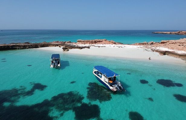 Dimaniyat Islands Snorkeling Adventure Private Tour