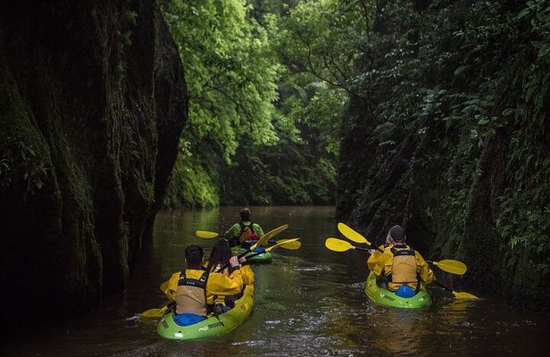 Twilight Kayak Glowworm Tour with Stargazing 