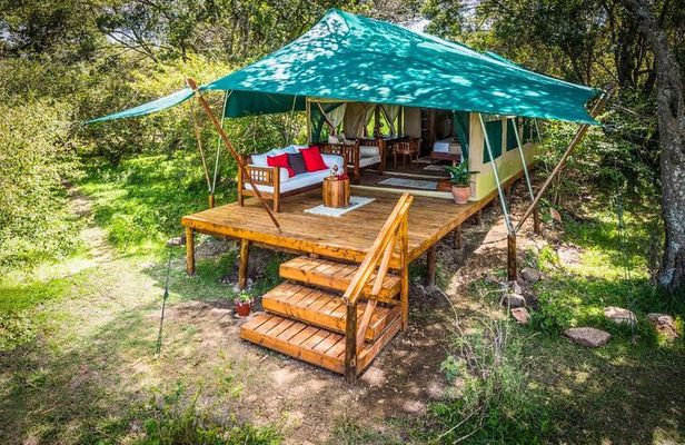 3 Days Masai Mara Gamedrive Camping Safari 4X4 Jeep