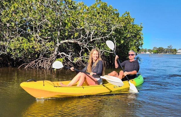 Noosa Heads: Hidden Waterways & Wildlife Kayak Tour