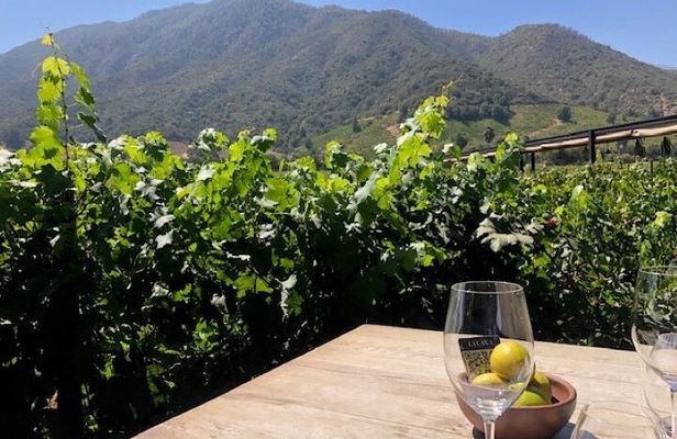 Private Chilean Wine Route Colchagua Valley Day Trip