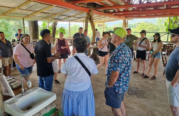 Coffe Tour and Chorotega Cultural Experience on the Blue zone