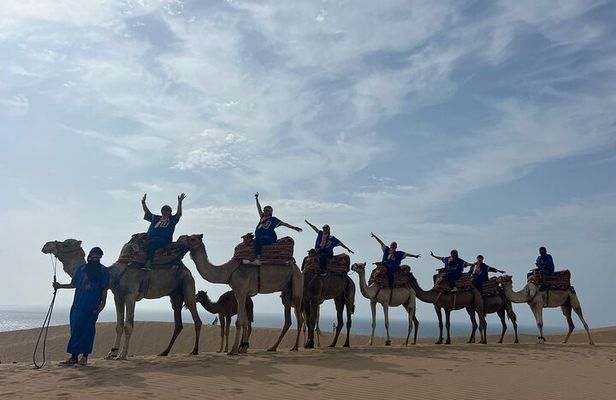 Sunset Camel Ride tour with Barbecue dinner in the beach