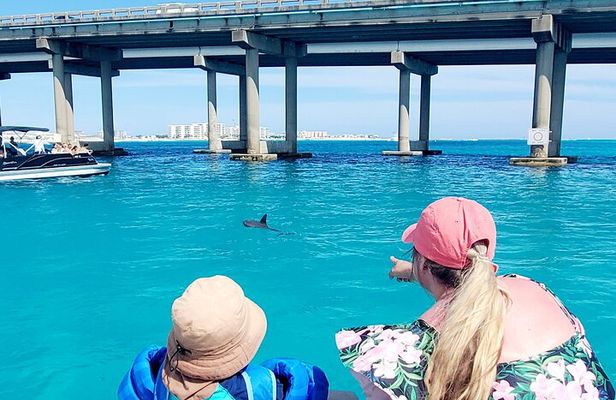 Fall/ Winter Destin Harbor Sightseeing Dolphin Cruise