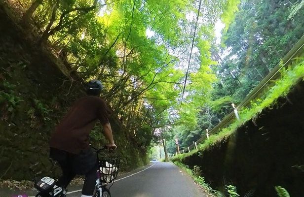ONLY AUG! Perfect Arashiyama day by E-BIKE in private!