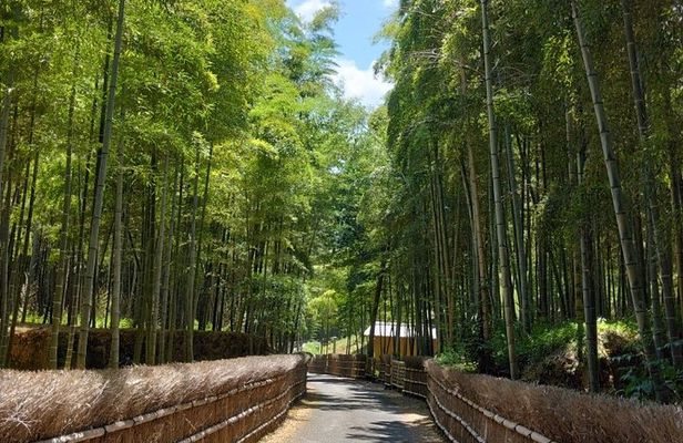 Kyoto Sakura & Hidden Gems of Timeless Tradition