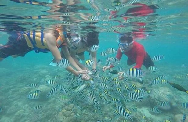 Private Guided Snorkeling Tour in Gili Nanggu Sudak and Kedis