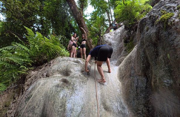 Half Day Chiangmai Bua Tong Sticky Waterfall Tour