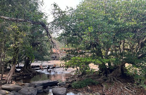 Vientiane Day Trip By Bike To Tad Moon Waterfall