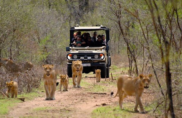 3 Day Garden Route Private Tour
